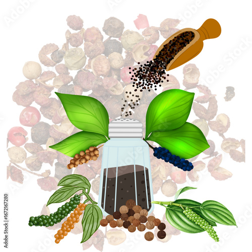 set of various spices
