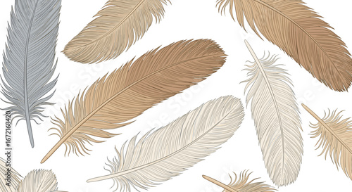 Seamless pattern of assorted feathers in shades of brown and white hues