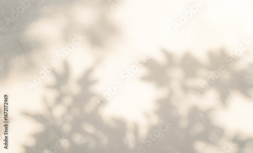 Abstract leaf shadow and light blurred background. Natural leaves tree branch shadows and sunlight dappled on white concrete wall texture for background wallpaper and design, shadow overlay effect
