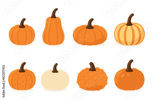 Eight diverse orange and white pumpkins with unique textures on a brown background