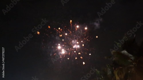 Fireworks in the night sky