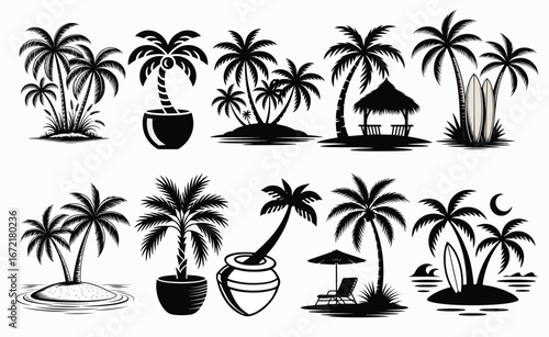palm tree silhouette vector tropical