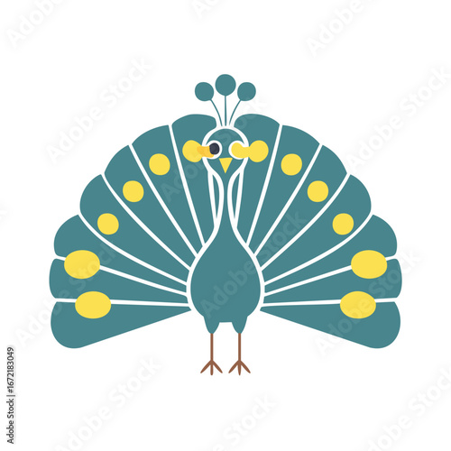 Teal peacock with yellow eye spots and fanned tail bird white