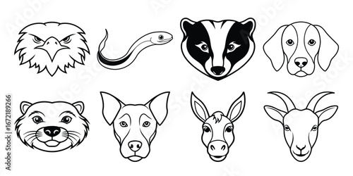 animal face vector