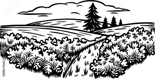 Rolling countryside landscape with hills, bushes, trees and fields hand drawn rural nature, scenic horizon illustration