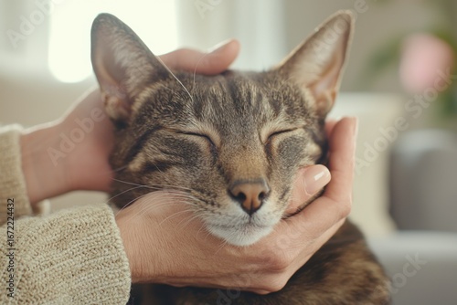 Woman tenderly embracing tabby cat in cozy home setting, showcasing deep emotional connection and loving relationship between pet and caring owner