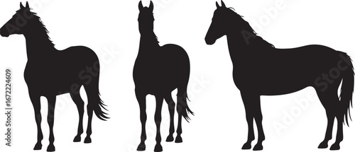 Mustang Horse Silhouette Vector Set"

"Wild Mustang Horse Silhouette Illustration"

"Running Mustang Horse Silhouette Graphic"