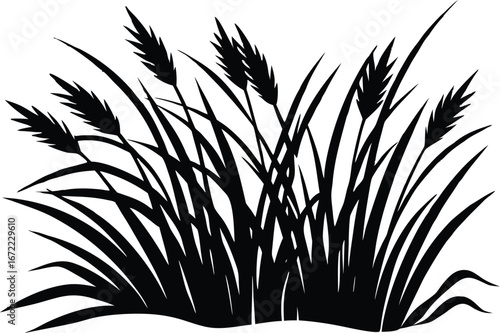 Dune Grass Silhouette, Coastal Grass Vector