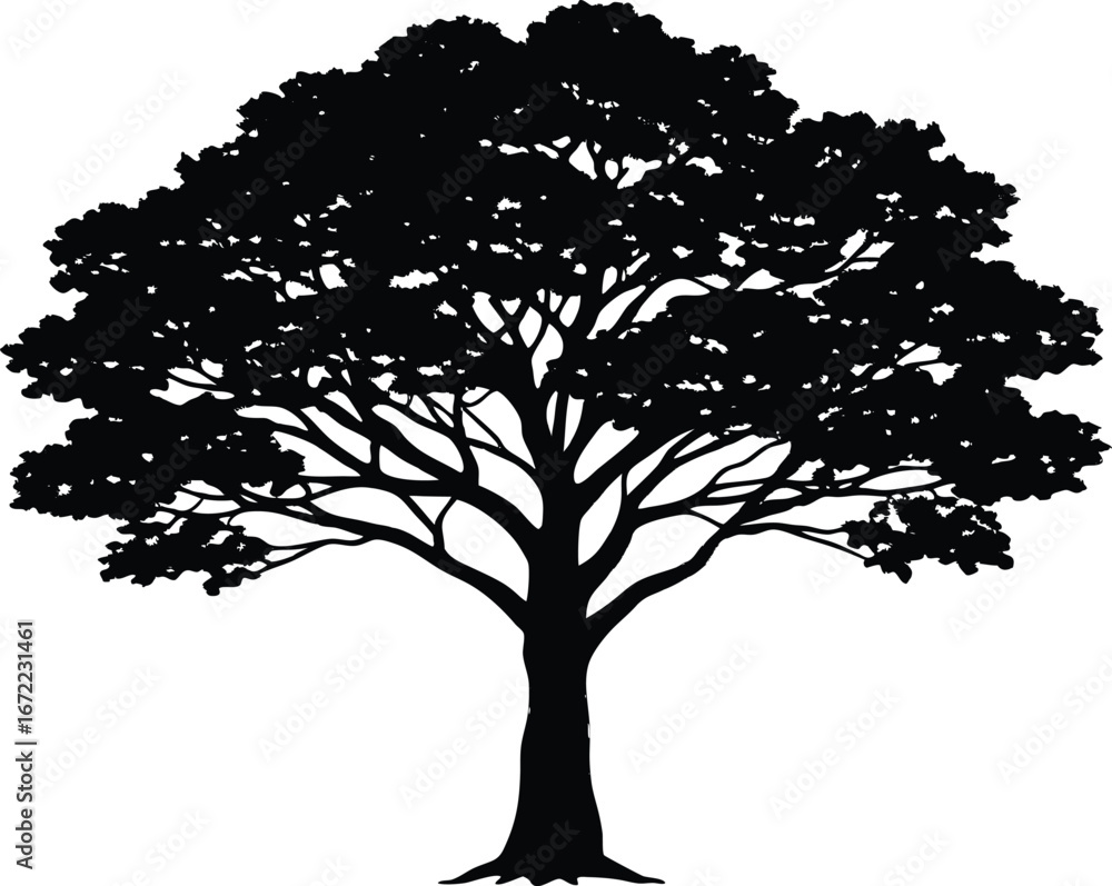Fototapeta premium Kapok Tree Silhouette, Silk Cotton Tree Vector