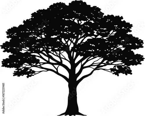 Kapok Tree Silhouette, Silk Cotton Tree Vector