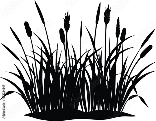Wetland Grass Silhouette, Marsh Grass Vector