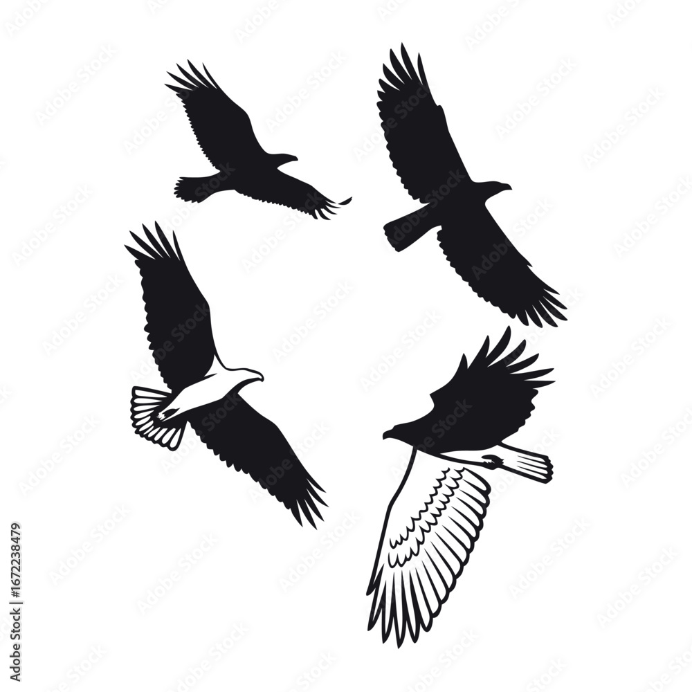 Obraz premium Silhouette Set of Different Bird Species Flying | Nature & Wildlife Vector EPS | Flock, Sky, Freedom Design Element