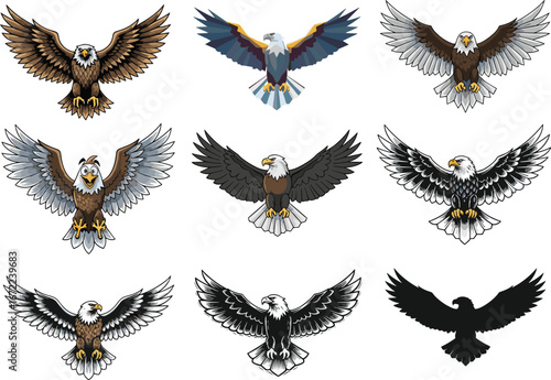 Bald eagle vector illustration set, flying eagle artwork, strong predator bird drawing, patriotic eagle symbol, wildlife design, majestic raptor clipart