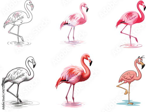 Pink flamingo vector set, tropical bird illustration, exotic flamingo artwork, hand drawn sketch, cartoon flamingo character, wildlife clipart, animal design collection