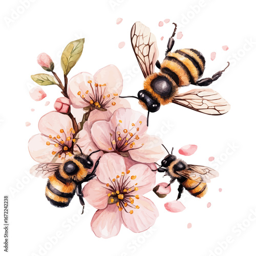 Bees Flying Spring Blossoms, watercolor painting vector, isolated on a white background.