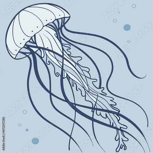 Illustration of a jellyfish with long tentacles floating in the ocean, a marine animal with a transparent body and poisonous tentacles