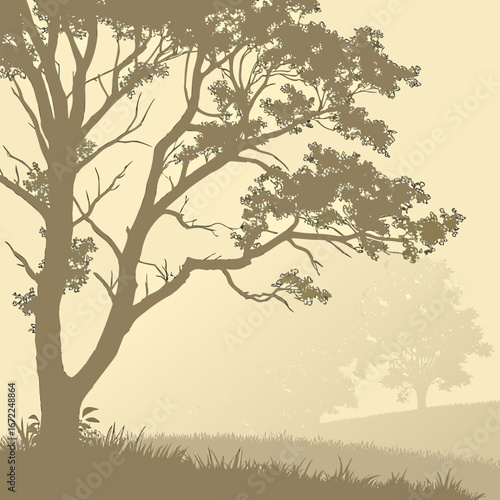Vector art of a serene landscape featuring silhouetted trees in a foggy or misty setting, evoking a sense of peacefulness and natural beauty in a rural environment
