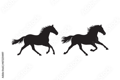 Silhouettes of two galloping horses in motion