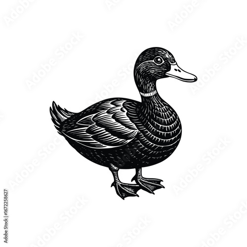 silhouette Duck