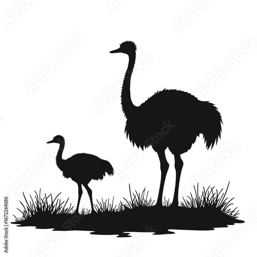 Adult and young ostrich silhouettes in grassy landscape