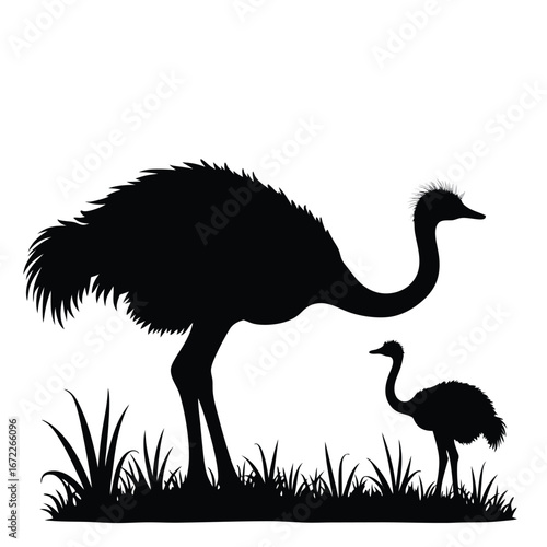 Black silhouette of adult and young ostrich in grass 1