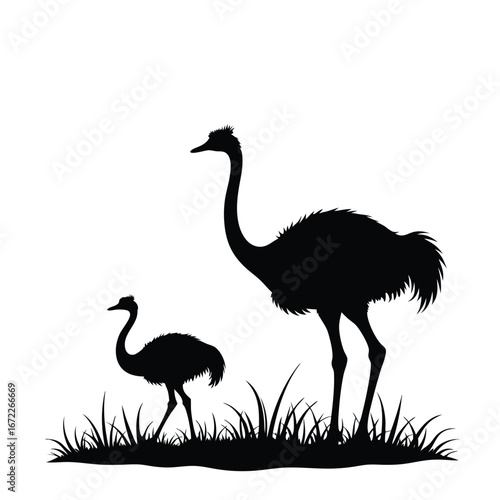 Black silhouette of an adult and juvenile ostrich in grassy field