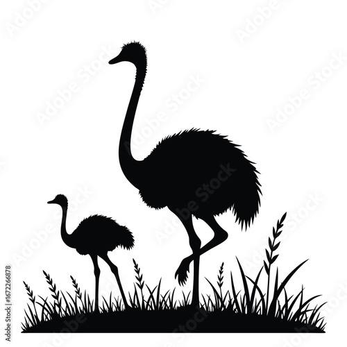 Black silhouette of an adult ostrich and chick in grass