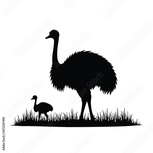 Black silhouette of an emu and chick in grass bird
