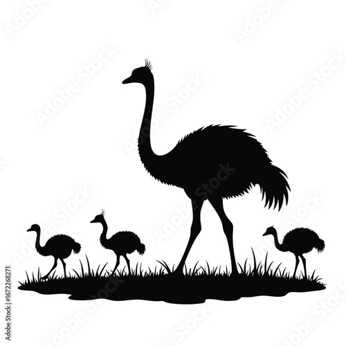 Black silhouette of an ostrich family walking in grass