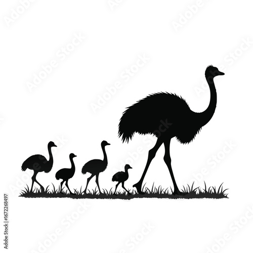Black silhouette of an ostrich family walking in grass