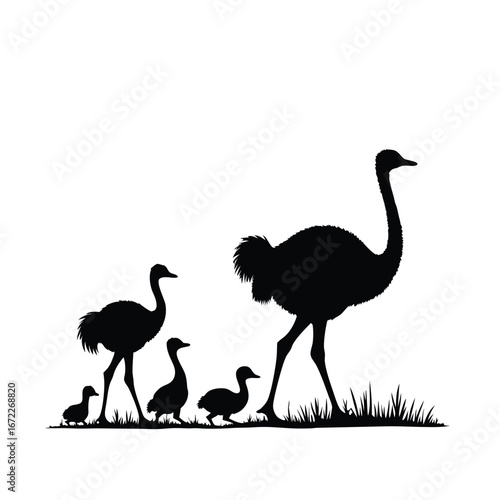 Black silhouette of an ostrich family walking on grass