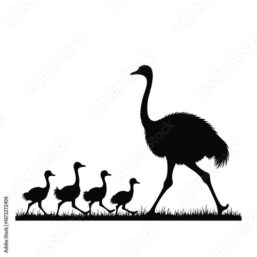 Ostrich mother and chicks walking in grass silhouette