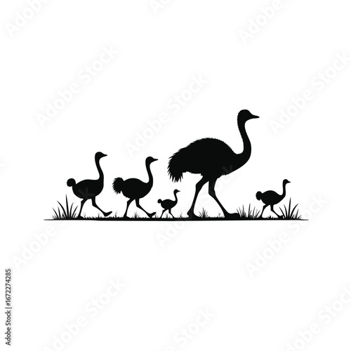 Silhouette of an ostrich family walking through grass