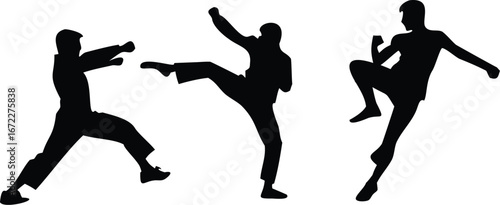 martial arts silhouettes punching kicking block