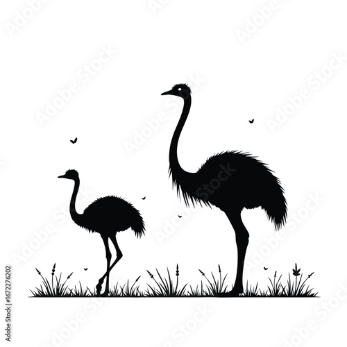 Two black emu silhouettes standing in grass with butterflies