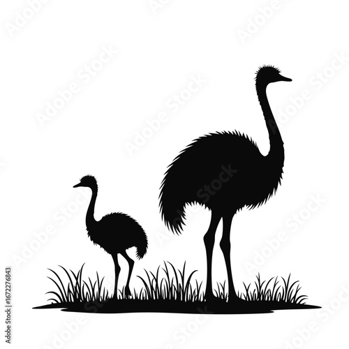Two emus one adult one chick standing in grass silhouette