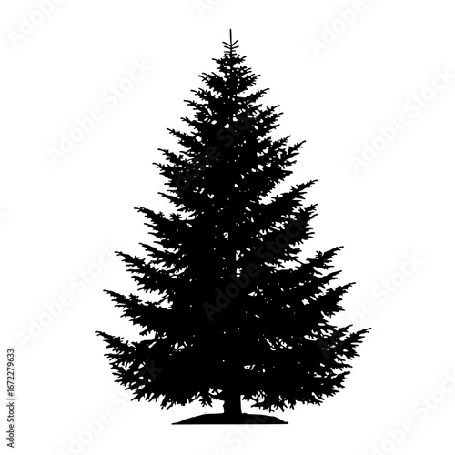 christmas tree isolated on white