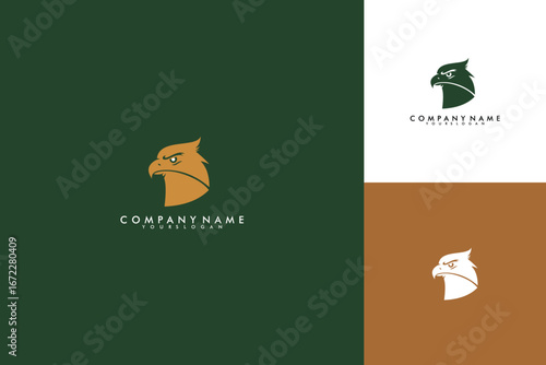 Eagle Head Logo Design Symbol of Strength and Vision.