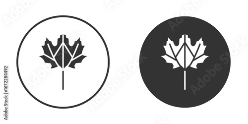 Autumn leaf canadian icon pictogram. Vector outline illustration isolated on white background.