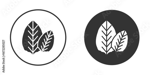 Tobacco leaves icon pictogram. Vector outline illustration isolated on white background.