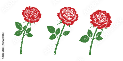 Red roses with green stems and leaves vector, Elegant red roses bloom with green stems and leaves
