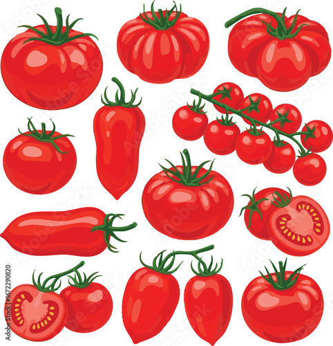  create need kinds of Red Tomato's set illustration victor art on white background.