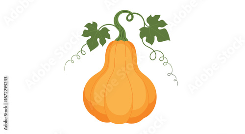 A delicious organic butternut squash with green leaves and curly vines on a white background