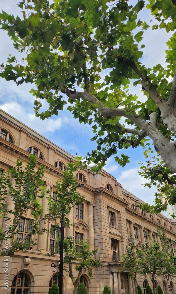 Obraz premium the old house