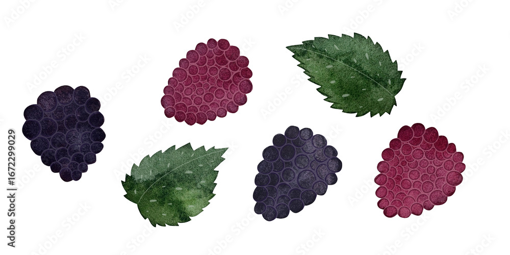 Obraz premium Watercolor raspberries, blackberries and mint leaves. Fresh berries on white.