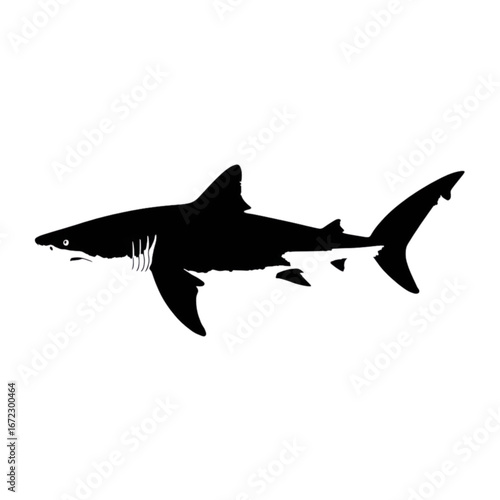 Powerful shark silhouette ready to attack symbolizing danger and the ocean's apex predator