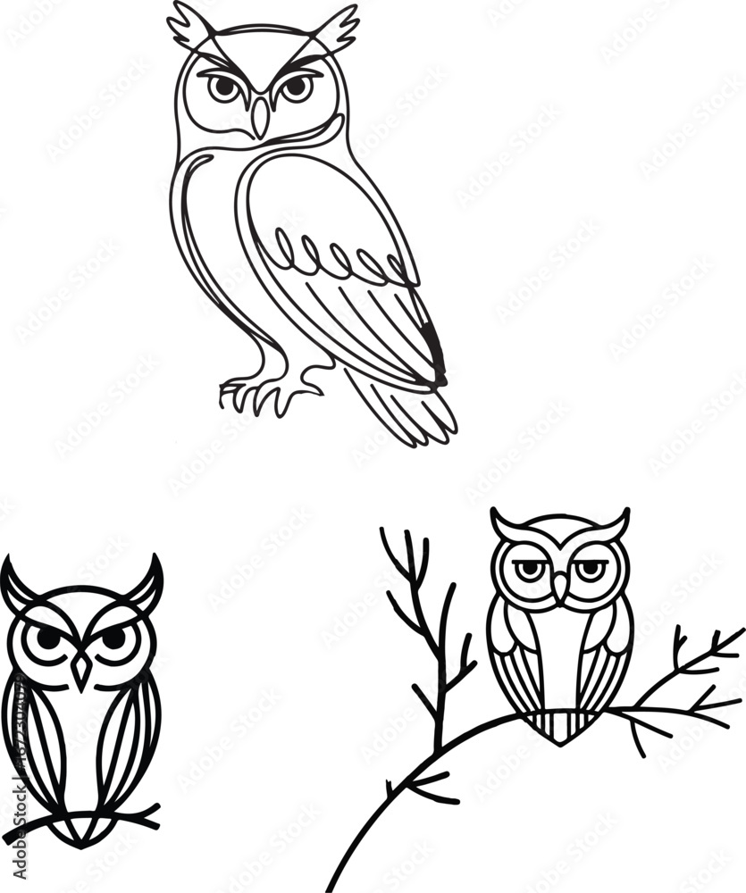 Fototapeta premium line art owl bird illustration set