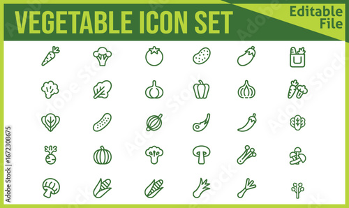 Collection of fresh colorful vegetable icons for healthy eating and food related designs