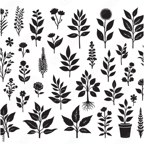 field silhouette Background material, Flowering plant