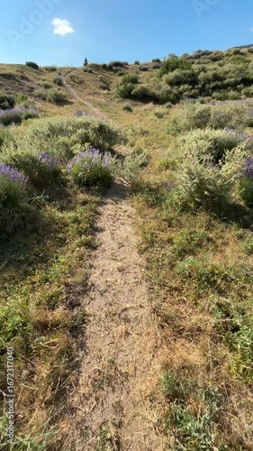 A narrow dirt path winds uphill through sun-drenched, dry grassy hillsides adorned with wildflowers and bushes under a clear blue sky in Bansko, Bulgaria, inviting hikers.